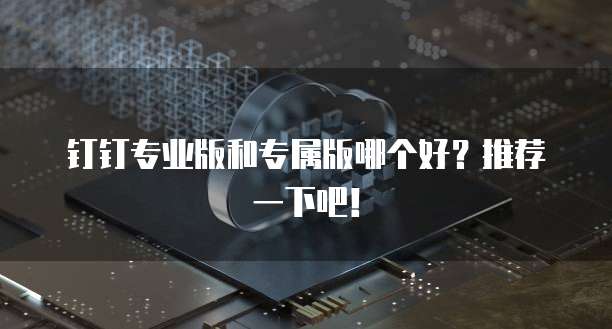 钉钉专业版和专属版哪个好？推荐一下吧！