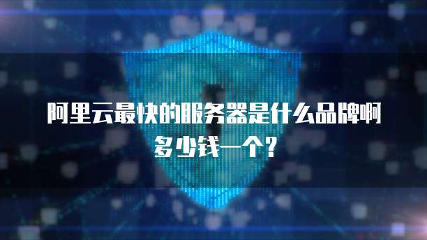 阿里云最快的服务器是什么品牌啊多少钱一个?