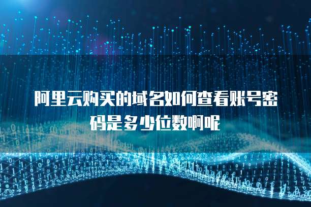 阿里云购买的域名如何查看账号密码是多少位数啊呢