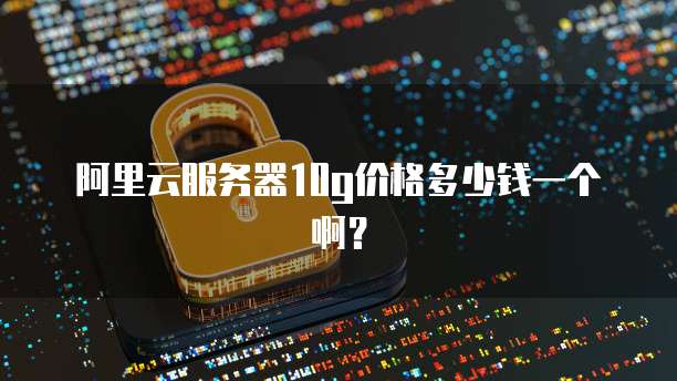 阿里云服务器10g价格多少钱一个啊?