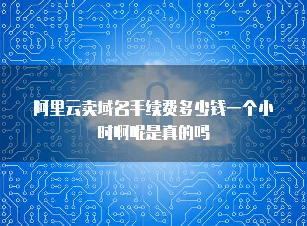 阿里云卖域名手续费多少钱一个小时啊呢是真的吗