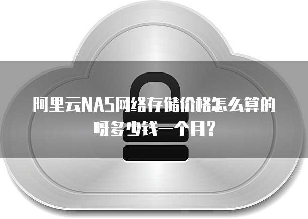 阿里云NAS网络存储价格怎么算的呀多少钱一个月?