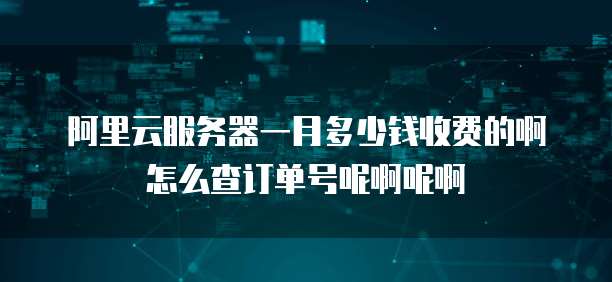 阿里云服务器一月多少钱收费的啊怎么查订单号呢啊呢啊