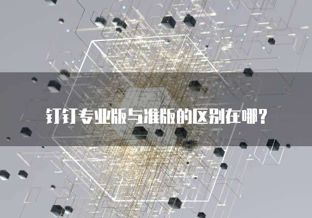 钉钉专业版与准版的区别在哪？