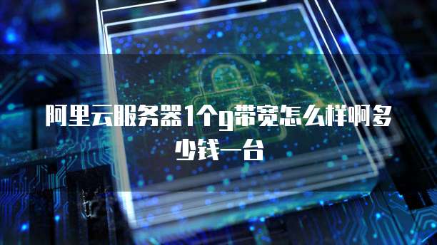 阿里云服务器1个g带宽怎么样啊多少钱一台