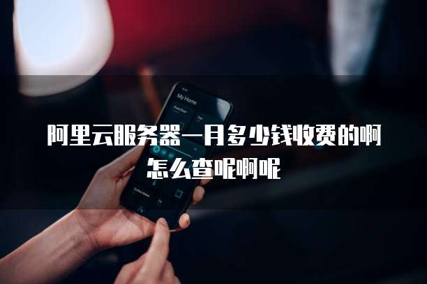 阿里云服务器一月多少钱收费的啊怎么查呢啊呢