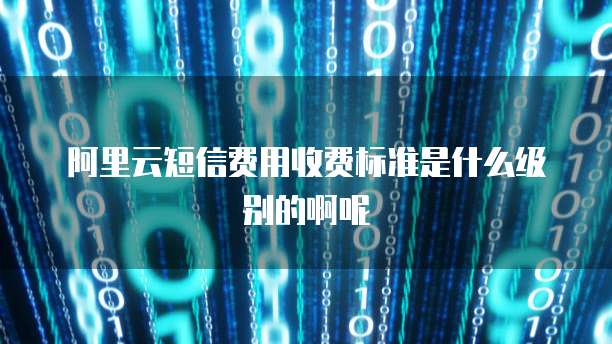 阿里云短信费用收费标准是什么级别的啊呢
