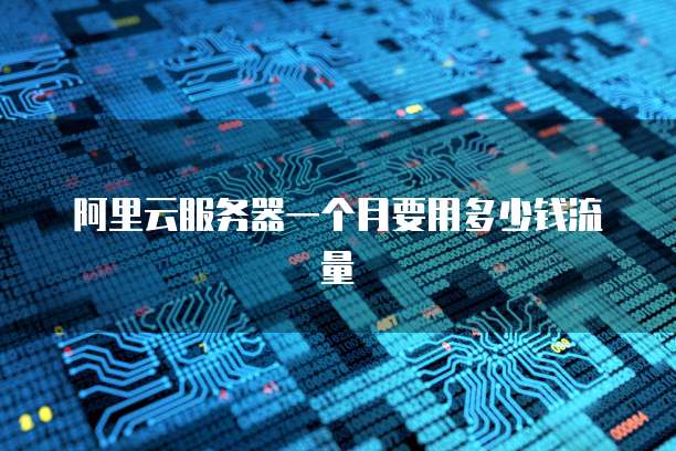 阿里云服务器一个月要用多少钱流量