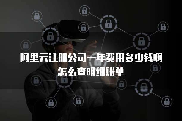 阿里云注册公司一年费用多少钱啊怎么查明细账单