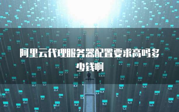 阿里云代理服务器配置要求高吗多少钱啊