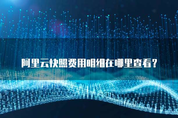 阿里云快照费用明细在哪里查看?