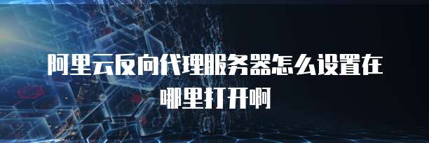 阿里云反向代理服务器怎么设置在哪里打开啊