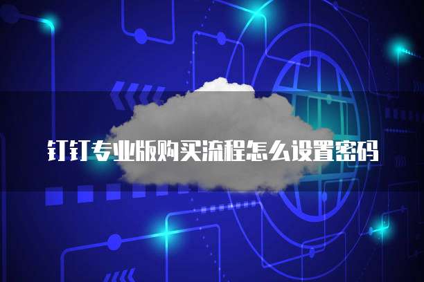 钉钉专业版购买流程怎么设置密码