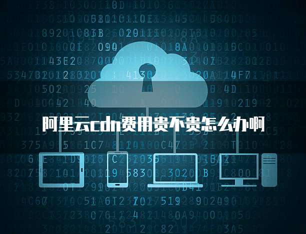 阿里云cdn费用贵不贵怎么办啊