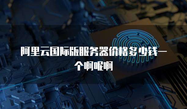 阿里云国际版服务器价格多少钱一个啊呢啊