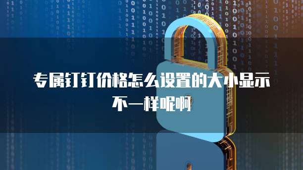专属钉钉价格怎么设置的大小显示不一样呢啊