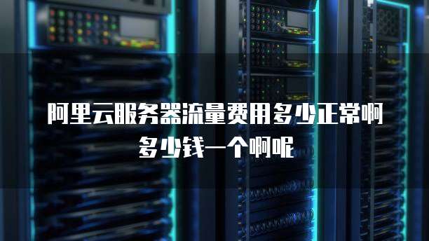 阿里云服务器流量费用多少正常啊多少钱一个啊呢