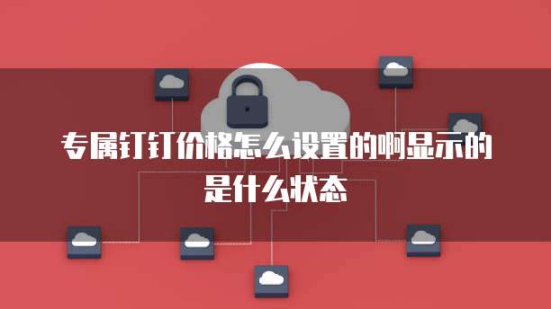 专属钉钉价格怎么设置的啊显示的是什么状态