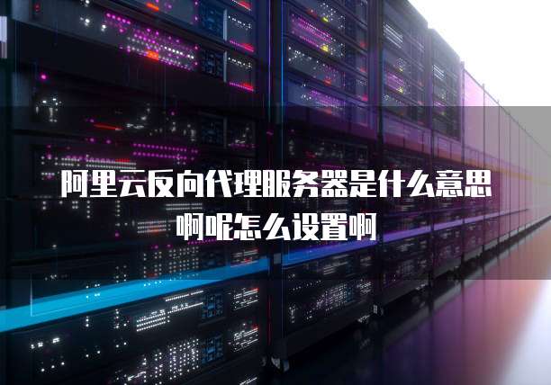 阿里云反向代理服务器是什么意思啊呢怎么设置啊