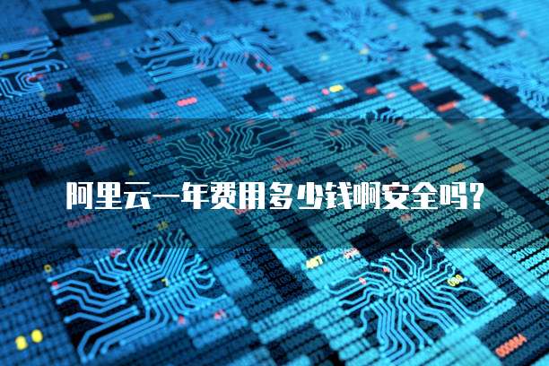 阿里云一年费用多少钱啊安全吗?