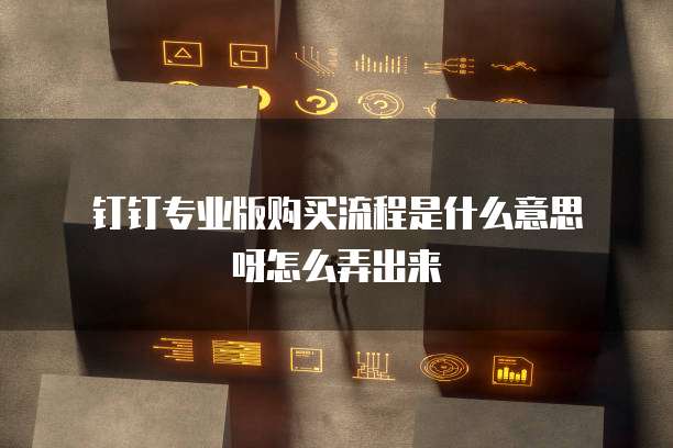 钉钉专业版购买流程是什么意思呀怎么弄出来