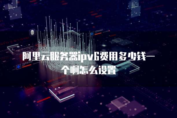 阿里云服务器ipv6费用多少钱一个啊怎么设置