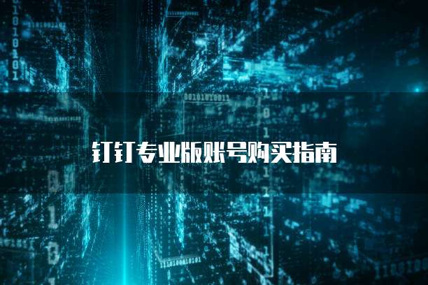 钉钉专业版账号购买指南