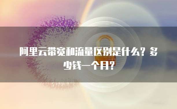 阿里云带宽和流量区别是什么?多少钱一个月?