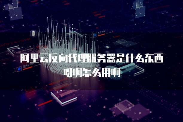 阿里云反向代理服务器是什么东西呀啊怎么用啊