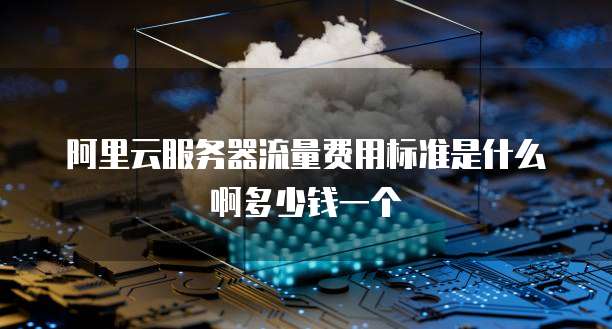 阿里云服务器流量费用标准是什么啊多少钱一个
