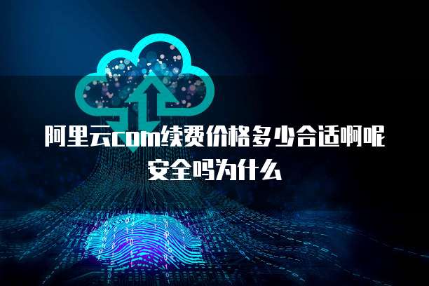 阿里云com续费价格多少合适啊呢安全吗为什么