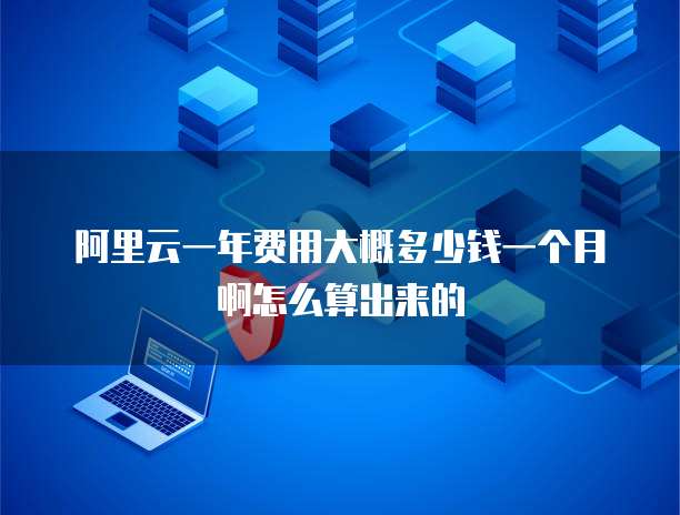 阿里云一年费用大概多少钱一个月啊怎么算出来的