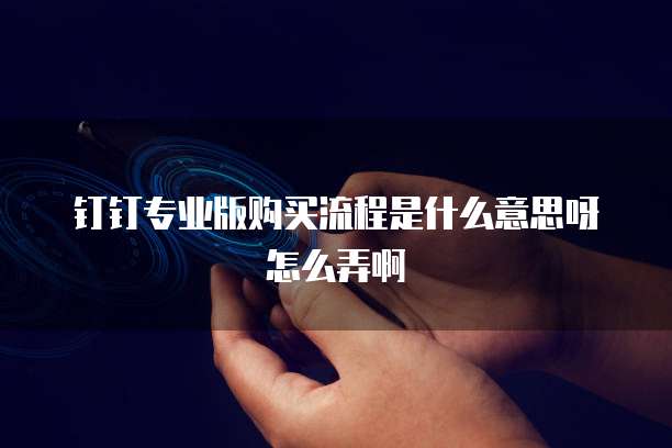 钉钉专业版购买流程是什么意思呀怎么弄啊