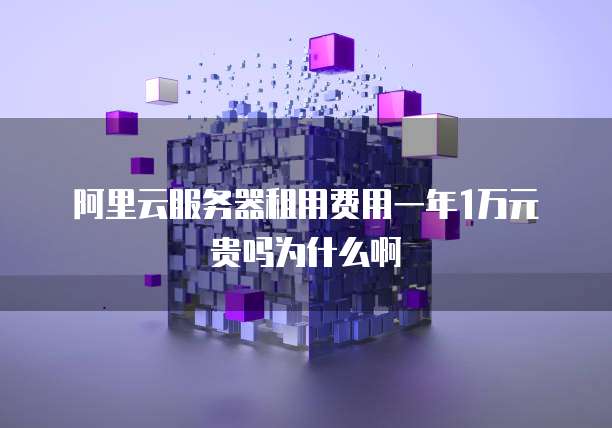 阿里云服务器租用费用一年1万元贵吗为什么啊