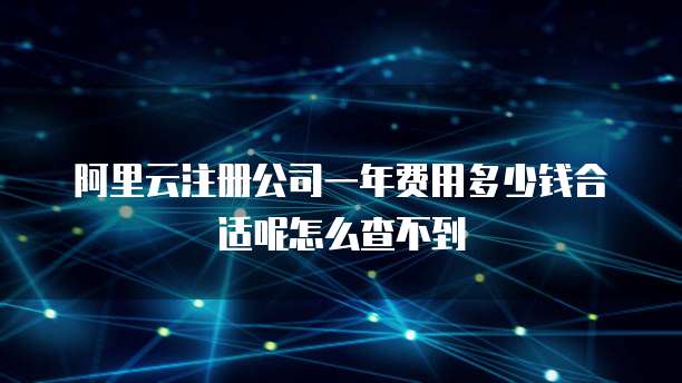 阿里云注册公司一年费用多少钱合适呢怎么查不到