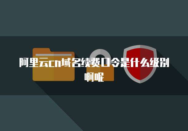 阿里云cn域名续费口令是什么级别啊呢