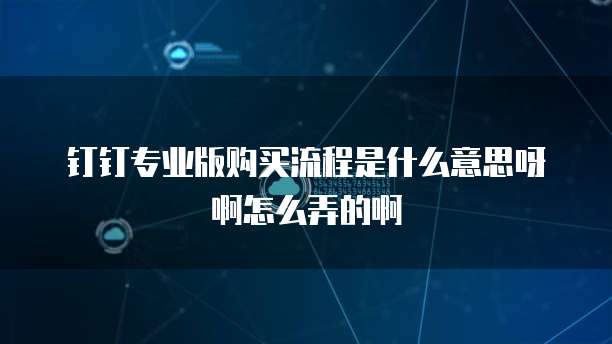 钉钉专业版购买流程是什么意思呀啊怎么弄的啊