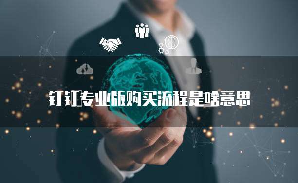 钉钉专业版购买流程是啥意思