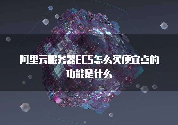 阿里云服务器ECS怎么买便宜点的功能是什么