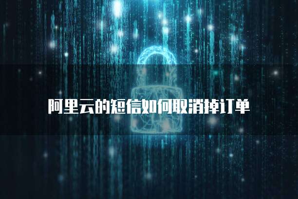 阿里云服务器IP访问不到网络怎么办？