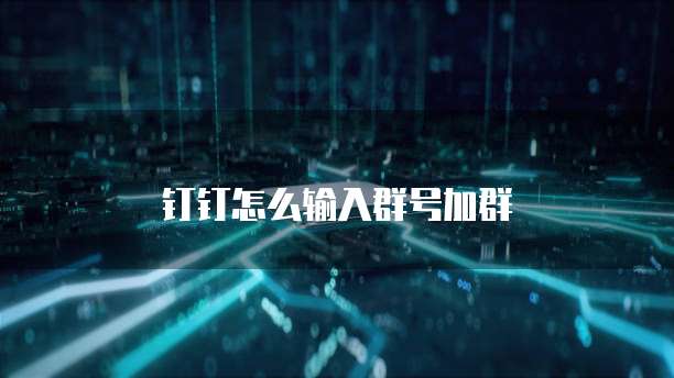 钉钉怎么输入群号加群
