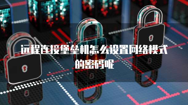 远程连接堡垒机怎么设置网络模式的密码呢