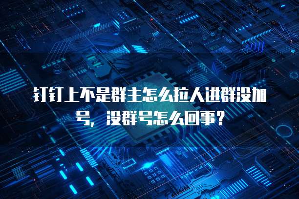 钉钉上不是群主怎么拉人进群没加号，没群号怎么回事？