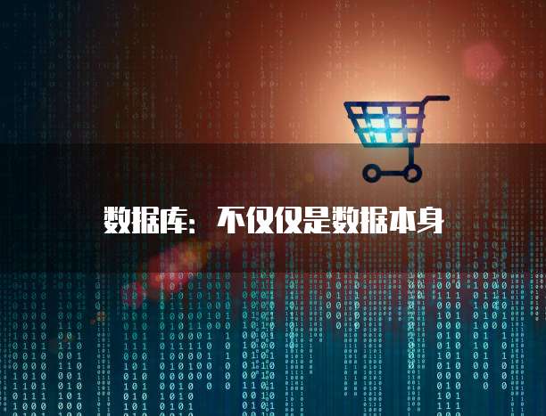 数据库:不仅仅是数据本身