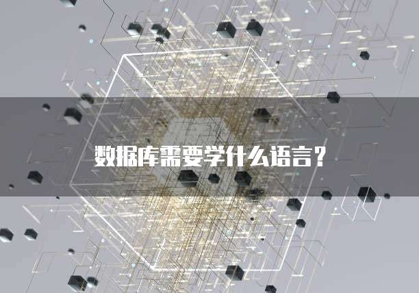 数据库需要学什么语言?