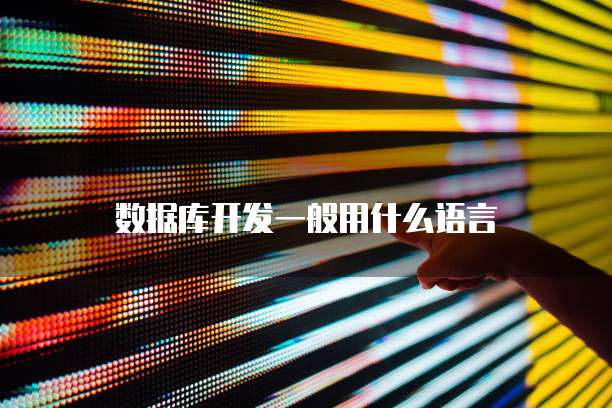 数据库开发一般用什么语言