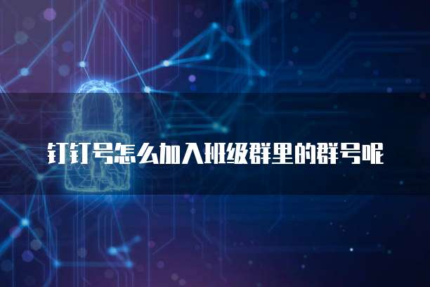 钉钉号怎么加入班级群里的群号呢