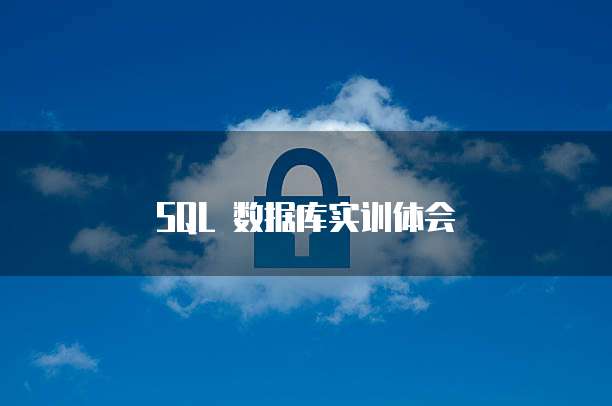 SQL 数据库实训体会