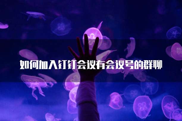 如何加入钉钉会议有会议号的群聊