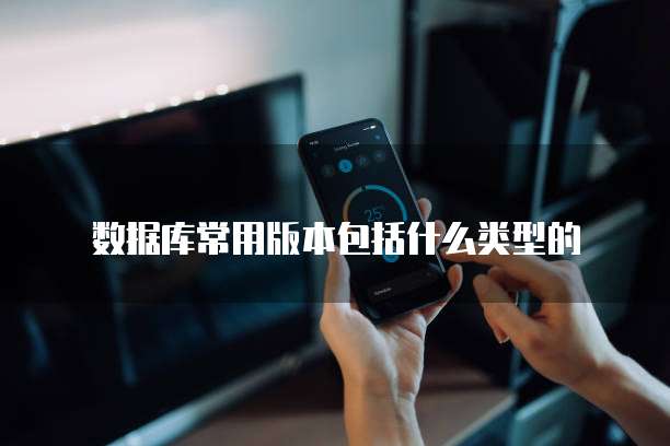 数据库常用版本包括什么类型的
